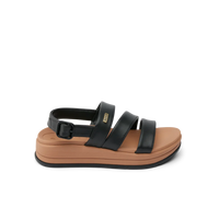 Black/Tan
