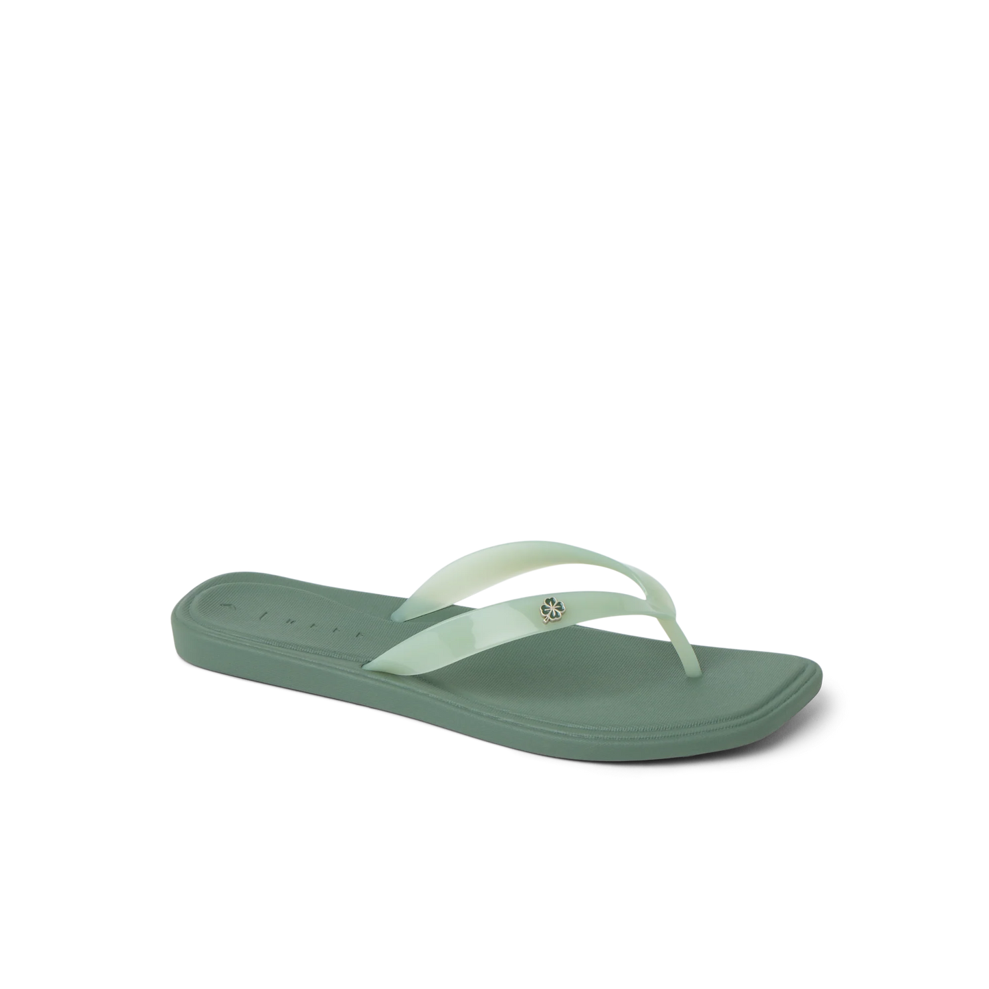 Solaye
