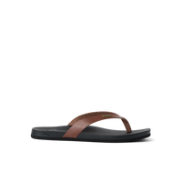 Chocolate/Black