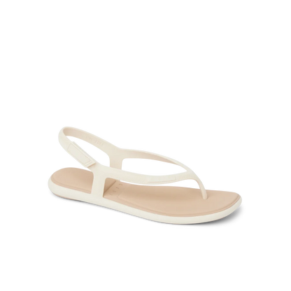 Water Willow Maya