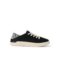 Black Zebra