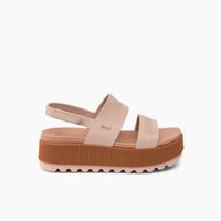 Cameo Rose