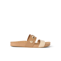 Tan Seashell Duo