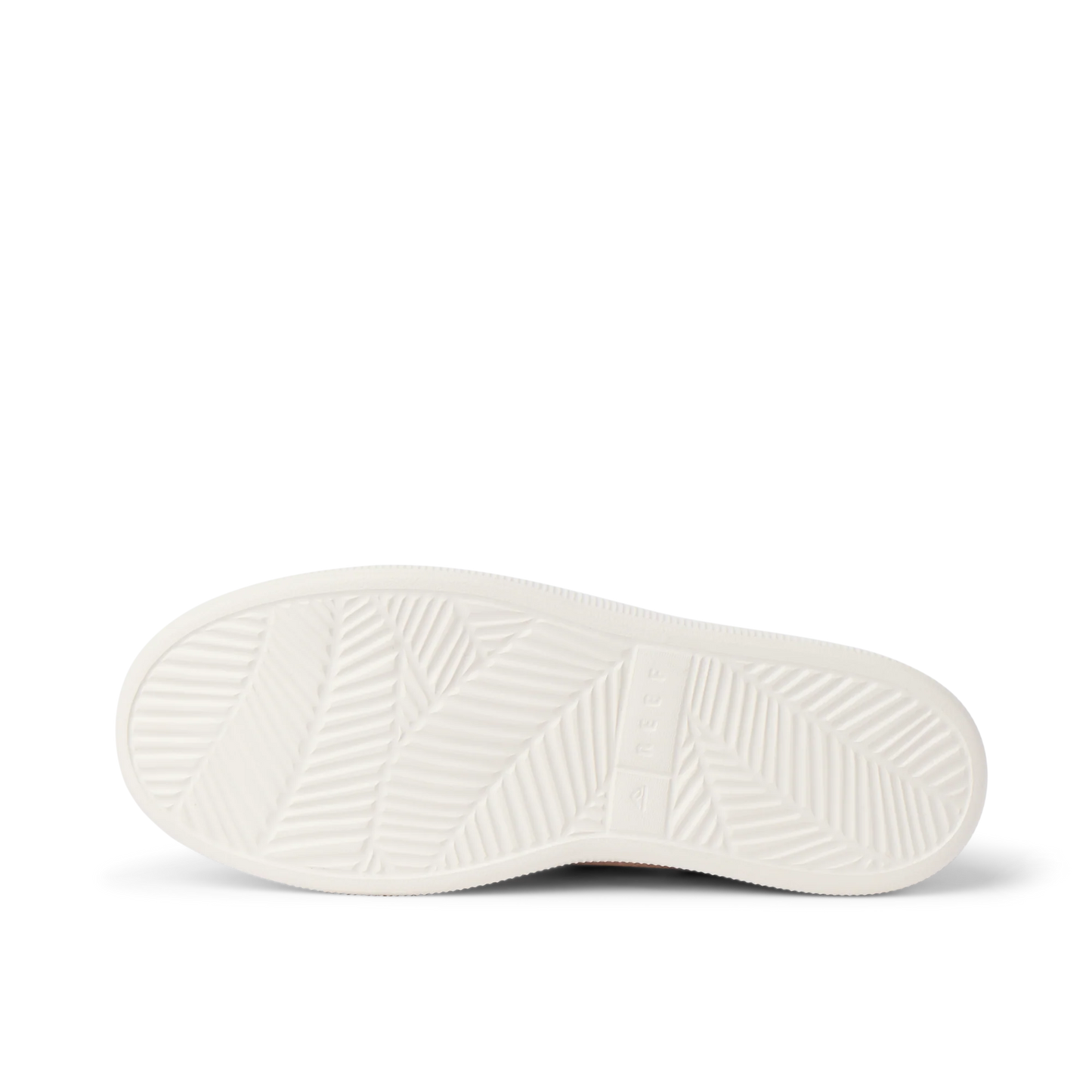 Reef Neptune