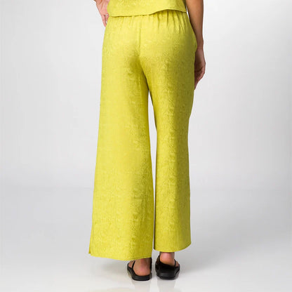 Ollie Pant