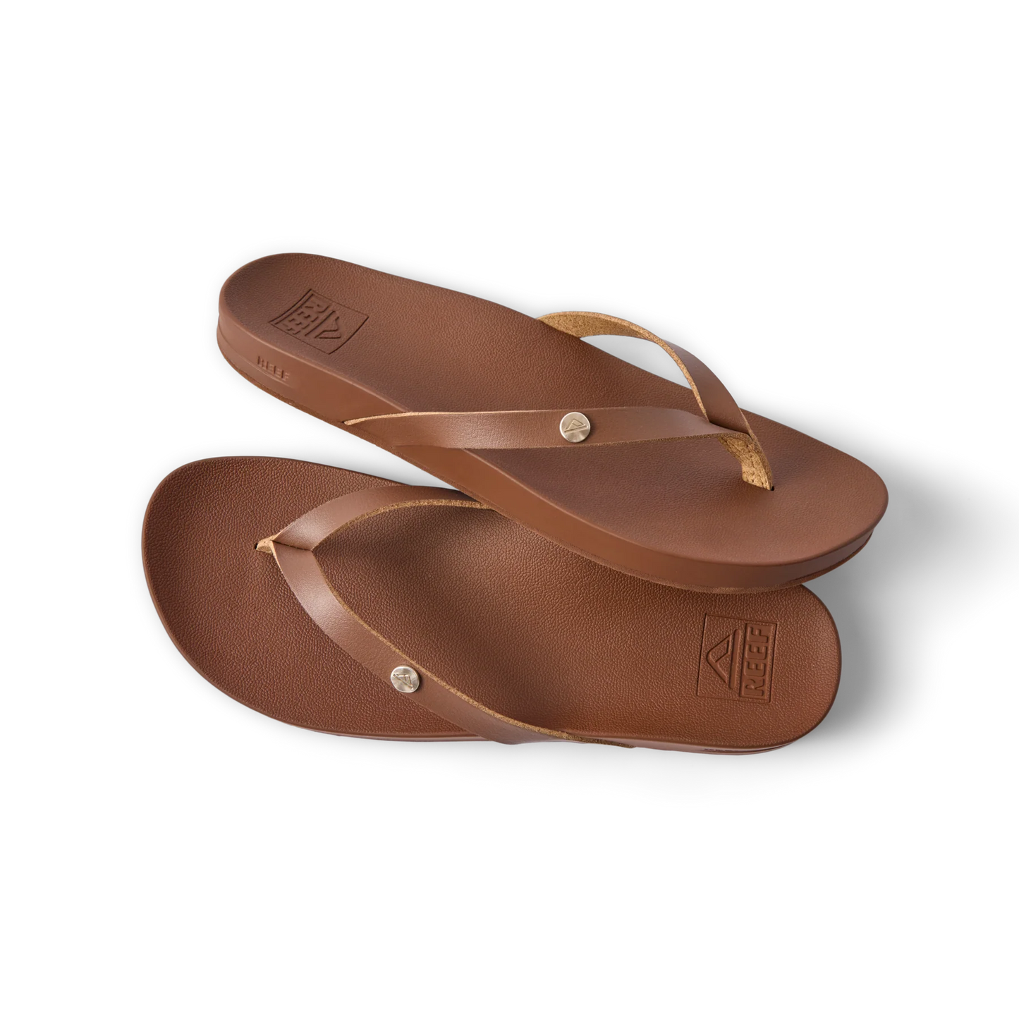 Vista Ivy